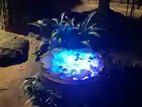 菅生神社(愛知県)