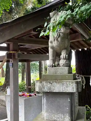 糀谷八幡宮の狛犬