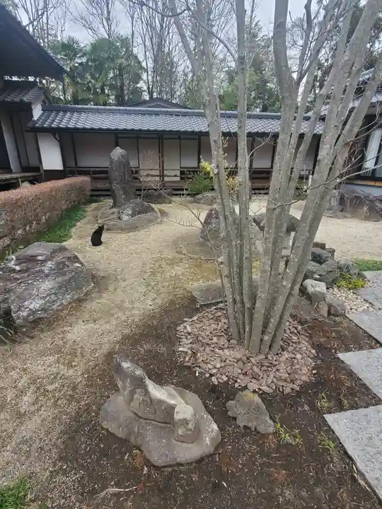 興聖寺の庭園
