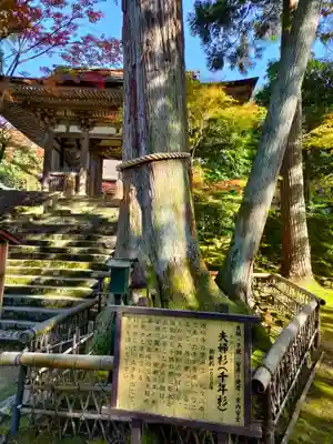 西明寺の自然