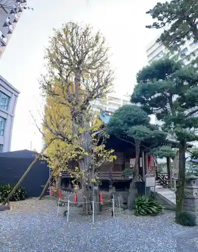 廣尾稲荷神社(東京都)