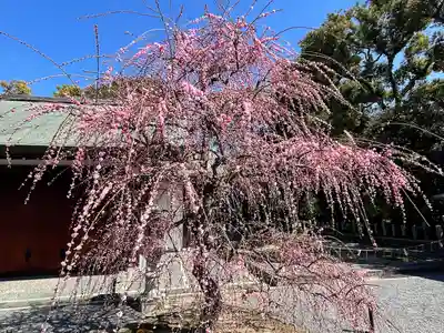 城南宮(京都府)