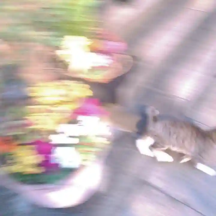 烏森神社(東京都)