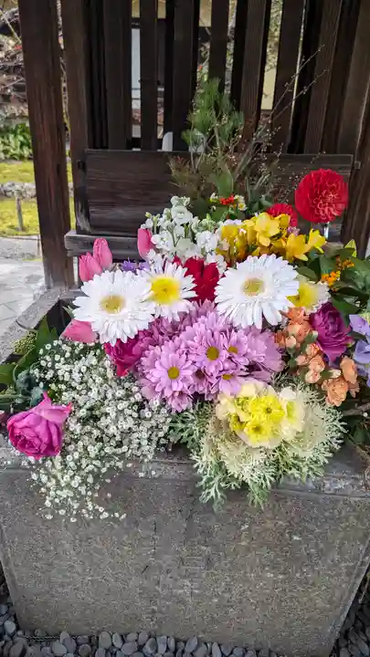 勝林寺(京都府)