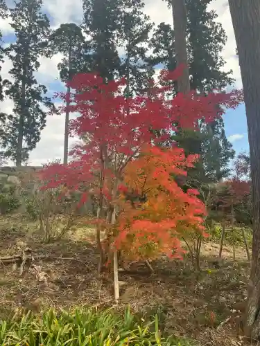 八幡宮(茨城県)