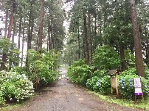 日本寺の庭園