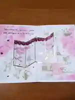 小野照崎神社の御朱印