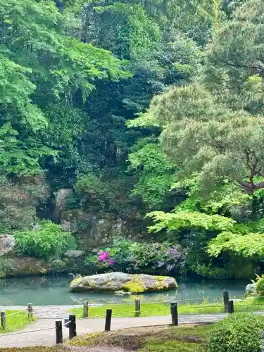 青蓮院門跡の{uncategorized: "未分類", other: "その他", undefined: "問題あり", building: "その他建物", grave: "お墓", sacred_gate: "鳥居", guardian: "狛犬", statue: "像", buddha: "仏像", history: "歴史", nature: "自然", garden: "庭園", animal: "動物", pagoda: "塔", temizu: "手水舎", mountain_gate: "山門・神門", sanctuary: "本殿・本堂", subordinate: "末社・摂社", art: "芸術", scenery: "景色", jizo: "地蔵", ema: "絵馬", goshuin: "御朱印", omikuji: "おみくじ", items: "授与品その他", amulet: "お守り", goshuincho: "御朱印帳", eats: "食事", festival: "お祭り", votive_dance: "神楽", shichigosan: "七五三参", wedding: "結婚式", experience: "体験その他", initially: "初詣", around: "周辺", anti_infection: "感染症対策"}