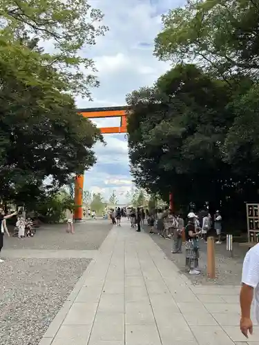 川越氷川神社の鳥居