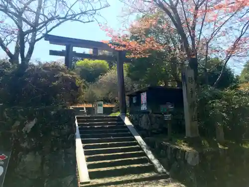 勝手神社の鳥居