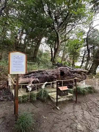 泉神社(茨城県)