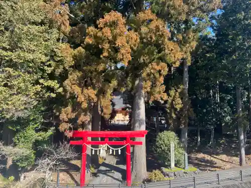 須山浅間神社の鳥居