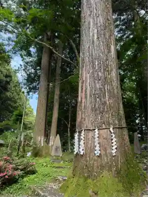 富士山東口本宮 冨士浅間神社(静岡県)