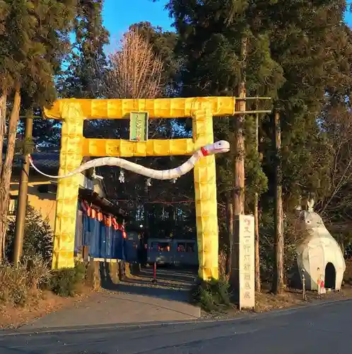 下野 星宮神社の鳥居