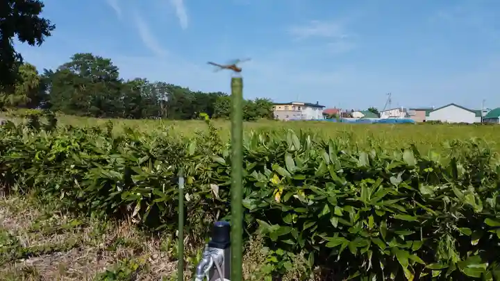 山口神社(北海道)