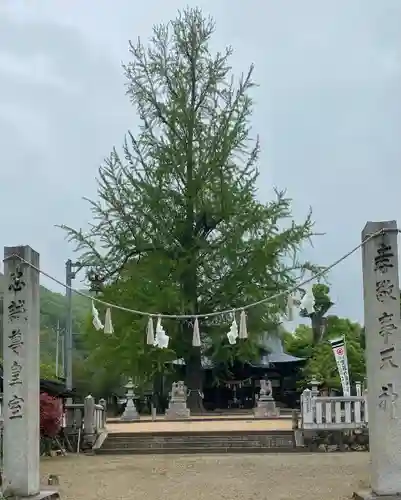 賀羅加波神社(広島県)