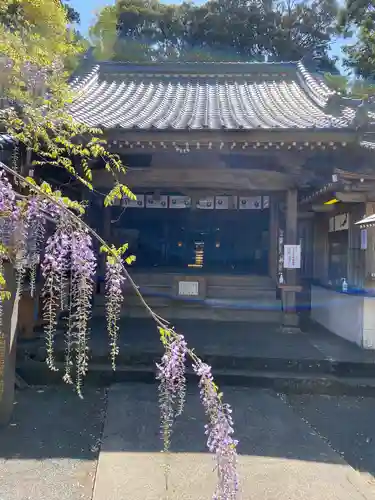 藤山神社の本殿・本堂