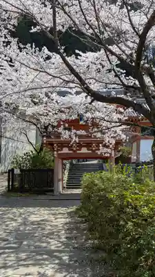 南法華寺（壷阪寺）(奈良県)