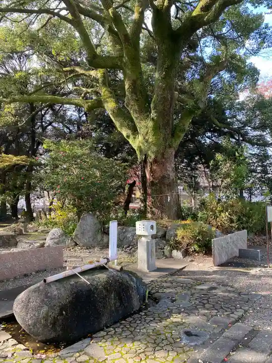 岐阜護國神社(岐阜県)
