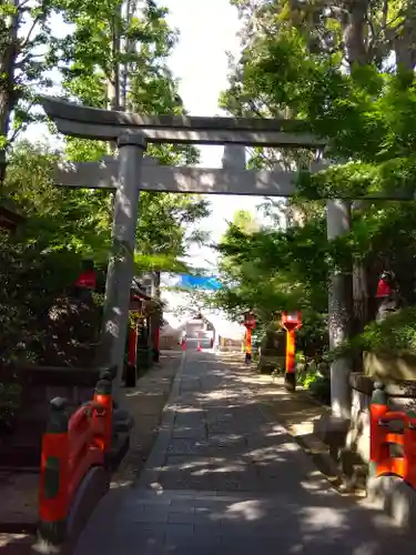 馬橋稲荷神社の鳥居