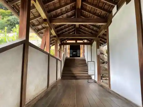 興聖寺（興聖寶林禅寺）(京都府)