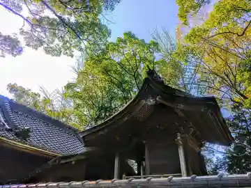 八幡神社(柴ケ森八幡社)の本殿・本堂