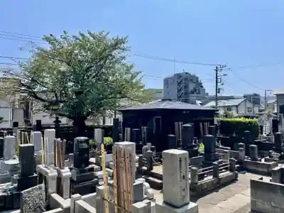 天徳院(神奈川県)