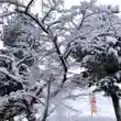 高司神社〜むすびの神の鎮まる社〜(福島県)