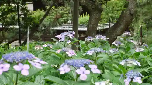 藤森神社の庭園