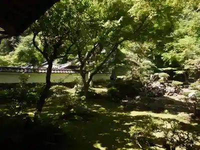 清滝寺徳源院(滋賀県)