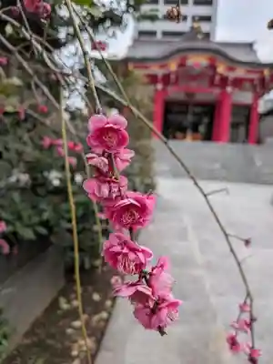 成子天神社(東京都)