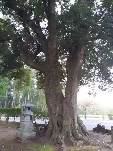 熊野神社の自然