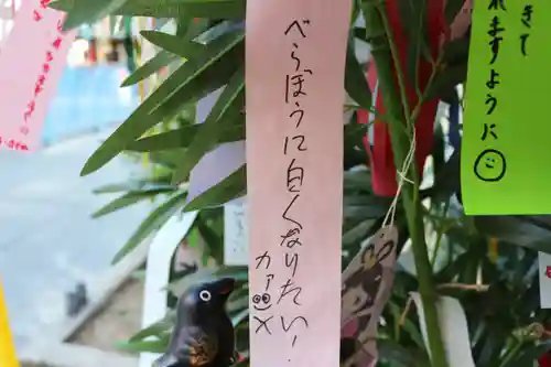くまくま神社(導きの社 熊野町熊野神社)のお祭り