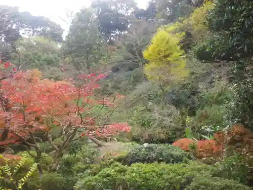 光則寺の庭園