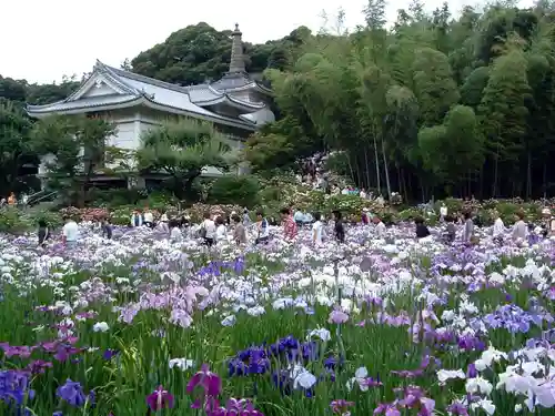 本土寺(千葉県)