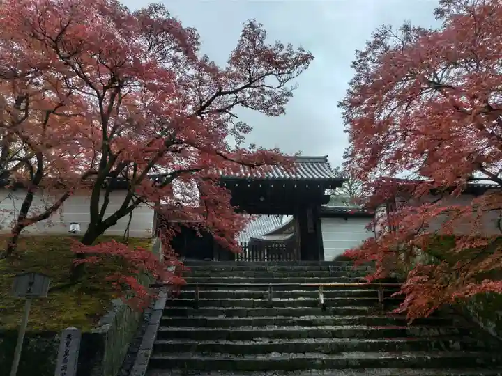 曼殊院門跡の山門・神門
