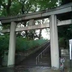 上野東照宮の鳥居