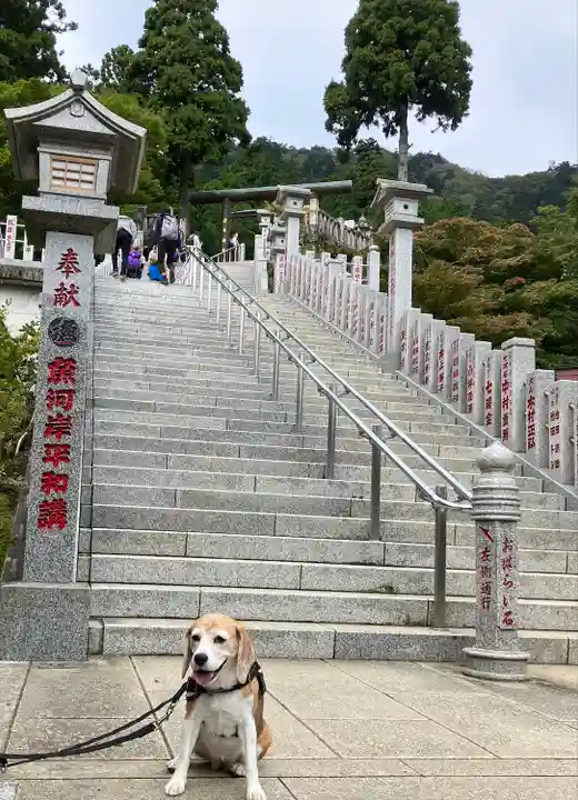 大山阿夫利神社(神奈川県)