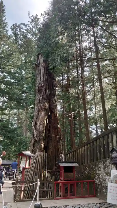 日光東照宮(栃木県)