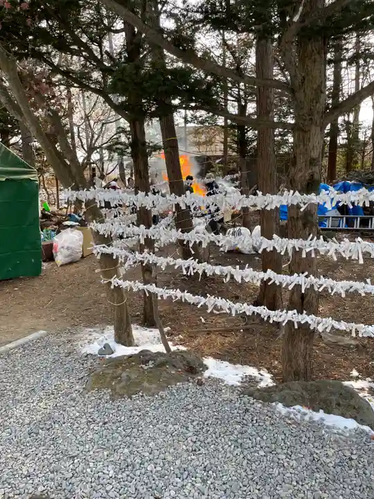 南豪神社のおみくじ