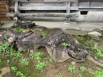 西宮神社のその他建物