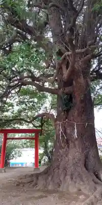 石受稲荷神社(神奈川県)