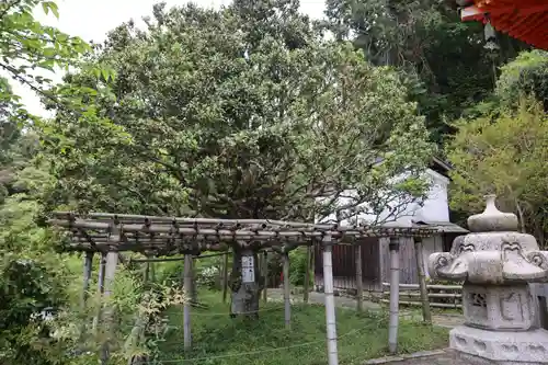 宝厳寺(滋賀県)