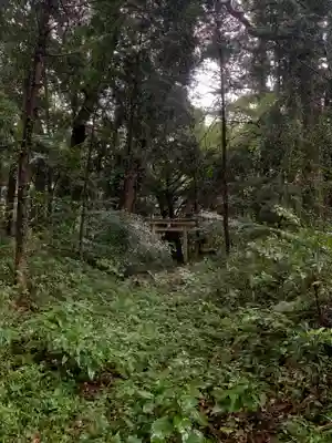 天満宮(千葉県)