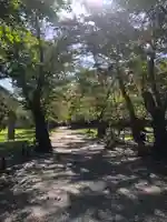 北海道神宮の庭園