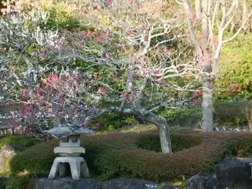 長谷寺の庭園