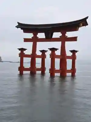 厳島神社の{uncategorized: "未分類", other: "その他", undefined: "問題あり", building: "その他建物", grave: "お墓", sacred_gate: "鳥居", guardian: "狛犬", statue: "像", buddha: "仏像", history: "歴史", nature: "自然", garden: "庭園", animal: "動物", pagoda: "塔", temizu: "手水舎", mountain_gate: "山門・神門", sanctuary: "本殿・本堂", subordinate: "末社・摂社", art: "芸術", scenery: "景色", jizo: "地蔵", ema: "絵馬", goshuin: "御朱印", omikuji: "おみくじ", items: "授与品その他", amulet: "お守り", goshuincho: "御朱印帳", eats: "食事", festival: "お祭り", votive_dance: "神楽", shichigosan: "七五三参", wedding: "結婚式", experience: "体験その他", initially: "初詣", around: "周辺", anti_infection: "感染症対策"}