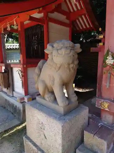 石清水八幡宮の狛犬