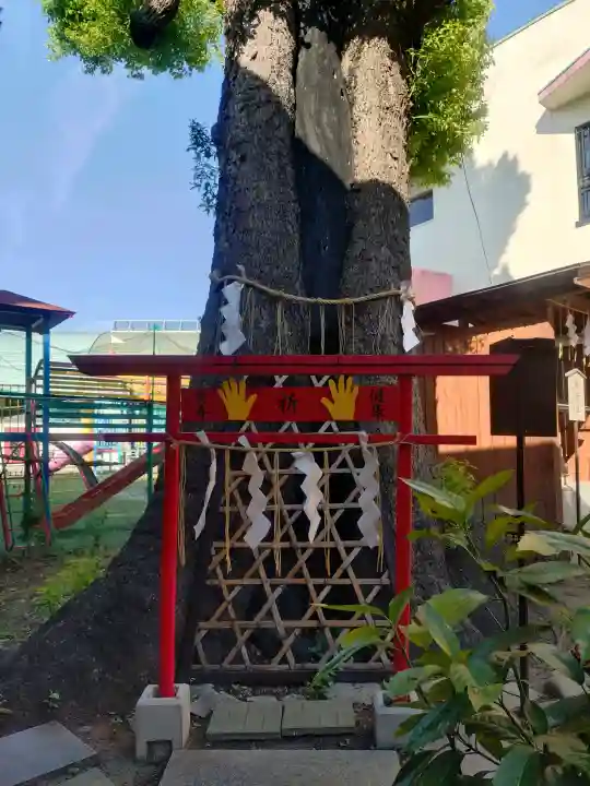 五方山熊野神社の{uncategorized: "未分類", other: "その他", undefined: "問題あり", building: "その他建物", grave: "お墓", sacred_gate: "鳥居", guardian: "狛犬", statue: "像", buddha: "仏像", history: "歴史", nature: "自然", garden: "庭園", animal: "動物", pagoda: "塔", temizu: "手水舎", mountain_gate: "山門・神門", sanctuary: "本殿・本堂", subordinate: "末社・摂社", art: "芸術", scenery: "景色", jizo: "地蔵", ema: "絵馬", goshuin: "御朱印", omikuji: "おみくじ", items: "授与品その他", amulet: "お守り", goshuincho: "御朱印帳", eats: "食事", festival: "お祭り", votive_dance: "神楽", shichigosan: "七五三参", wedding: "結婚式", experience: "体験その他", initially: "初詣", around: "周辺", anti_infection: "感染症対策"}