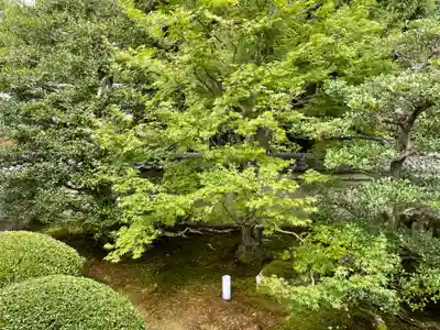 雲龍院(京都府)